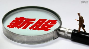 7只新股今日聯(lián)袂上市，盛天網(wǎng)絡(luò)領(lǐng)銜互聯(lián)網(wǎng)游戲服務(wù)板塊大漲44%遭臨停
